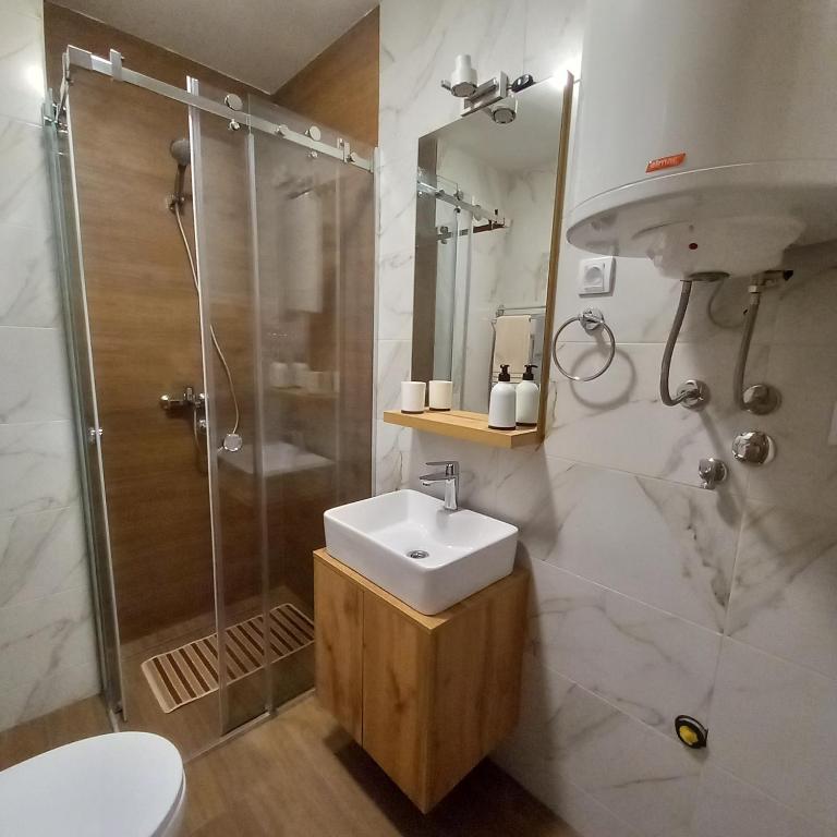 Koupelna v ubytování Apartman Danica