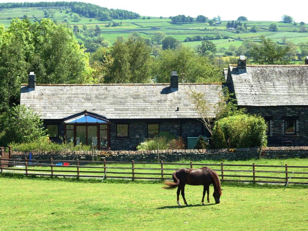 a horse grazing in a field in front of a house at Mews Cottage in Bampton