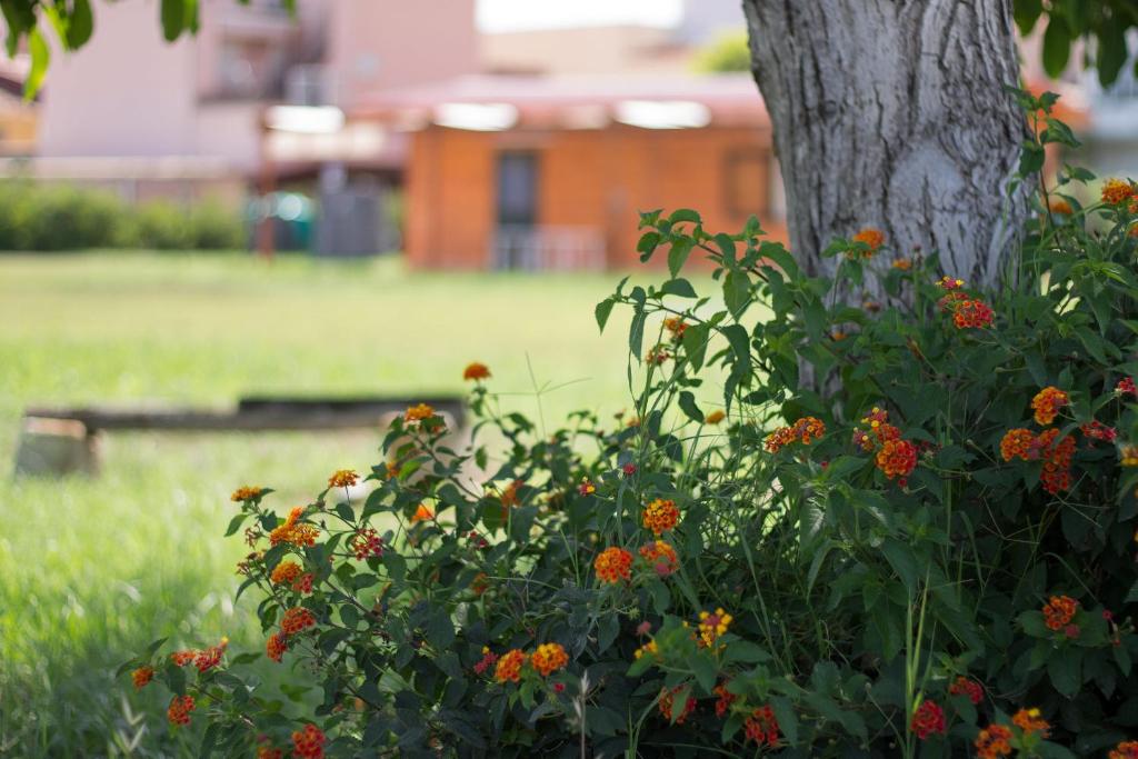 Zahrada ubytování Agriturismo Il Gelsomino Ritrovato