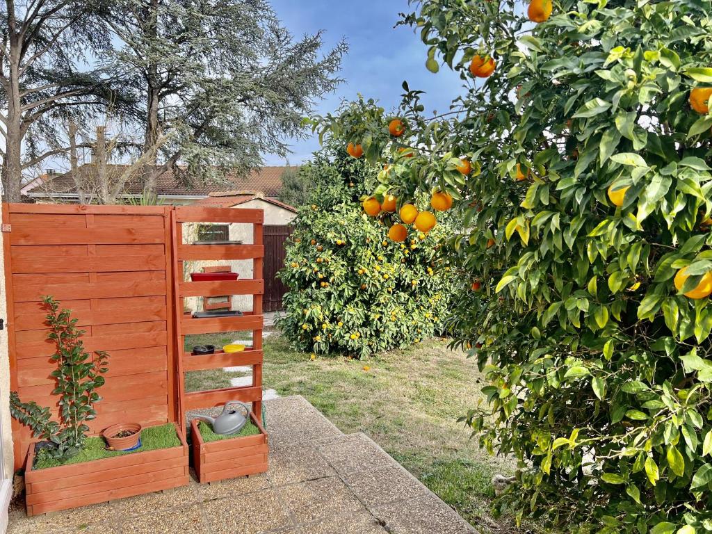 um jardim com laranjeiras e uma cómoda de madeira em Les orangers - Villa catalane avec Jacuzzi em Saint-Génis