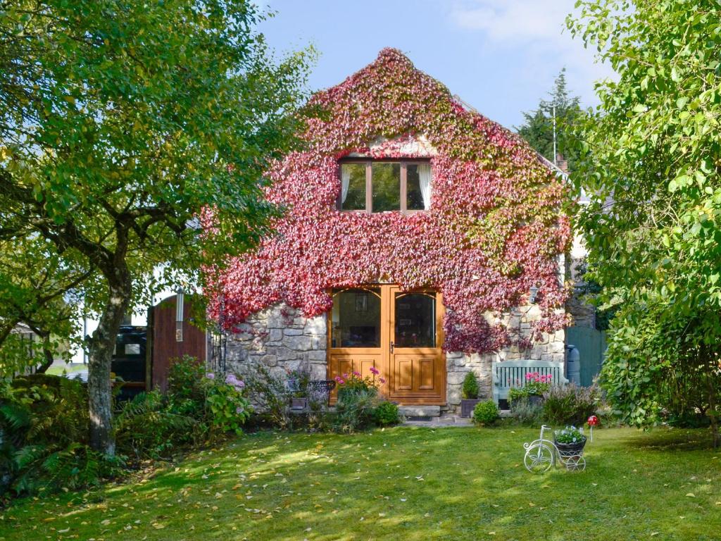 a house covered in flowers in a yard at Bryn Dedwydd Cottage in Llanferres