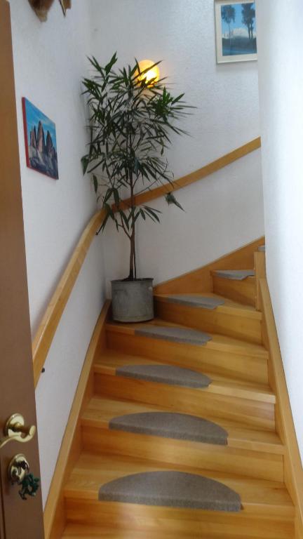 Fotografie z fotogalerie ubytování Ferienwohnung Schlemmer v destinaci Doren