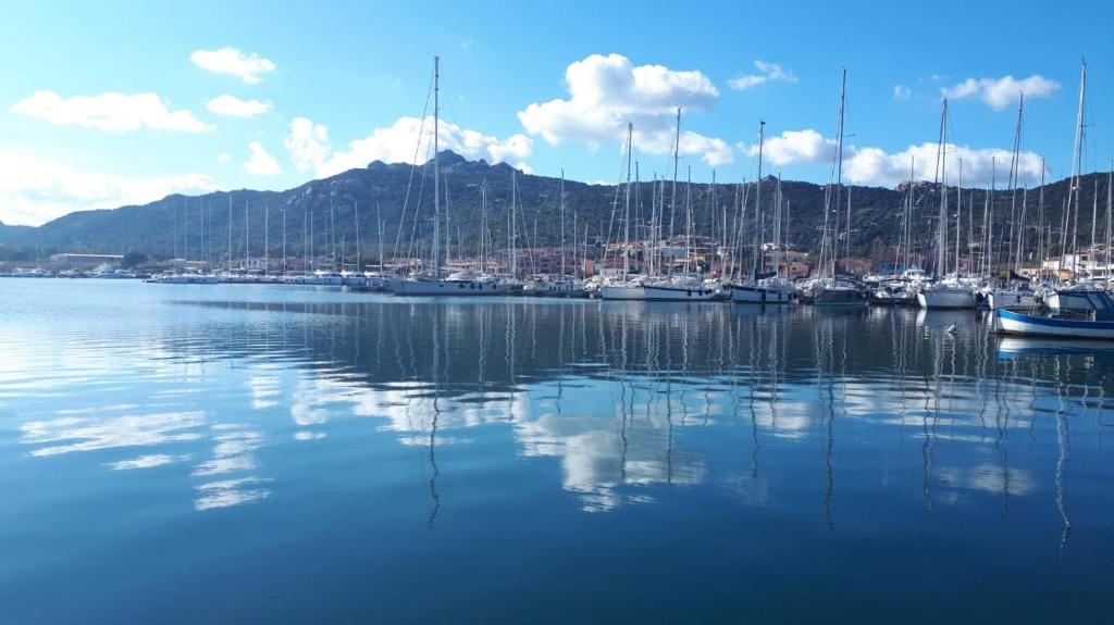 Un montón de barcos están atracados en un puerto en A due passi dal mare, en Cannigione