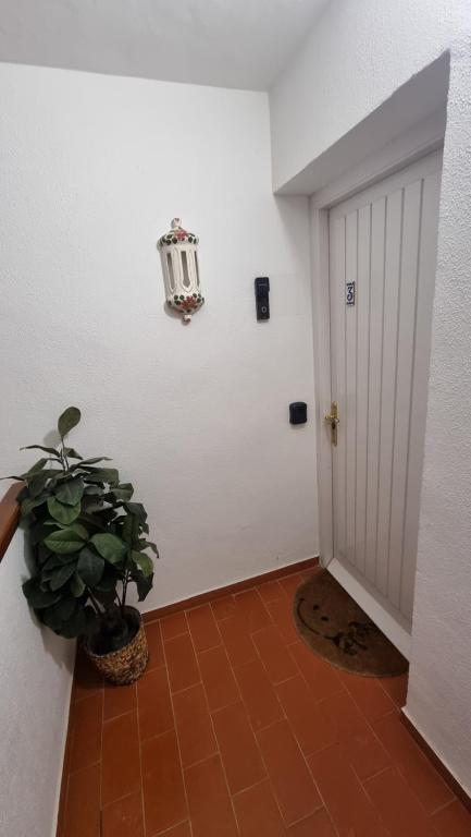 Fotografia z galérie ubytovania Calle Margarita - Miraflores 9-3 Mijas Costa v destinácii Mijas
