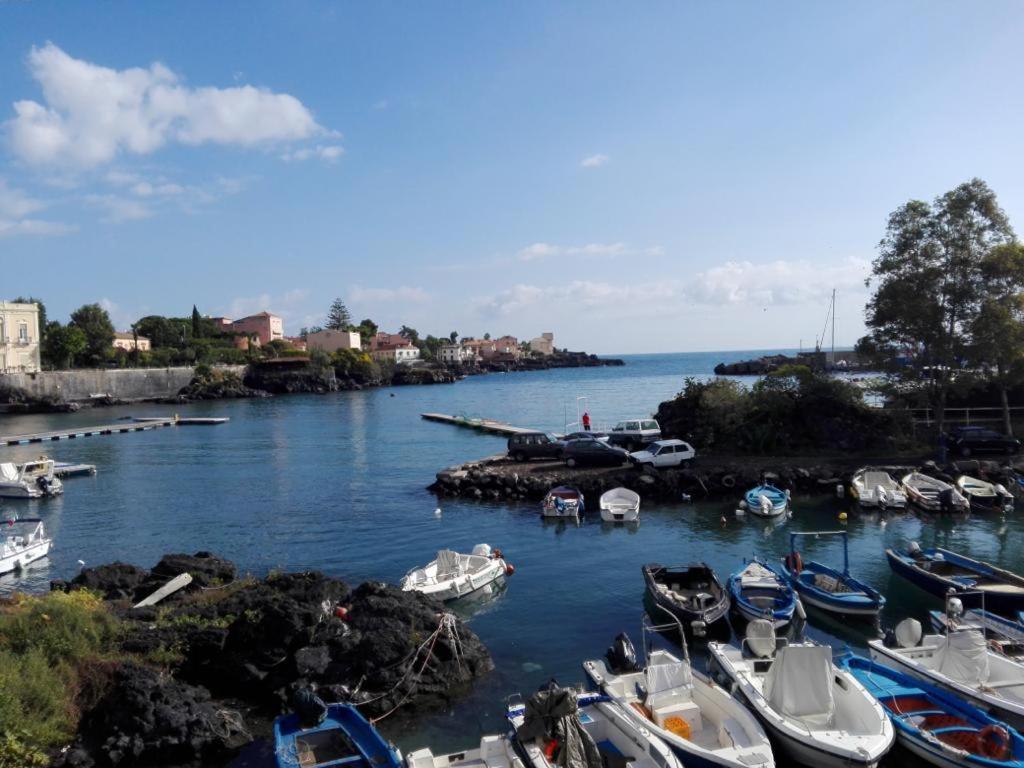 Príroda v okolí apartmánu