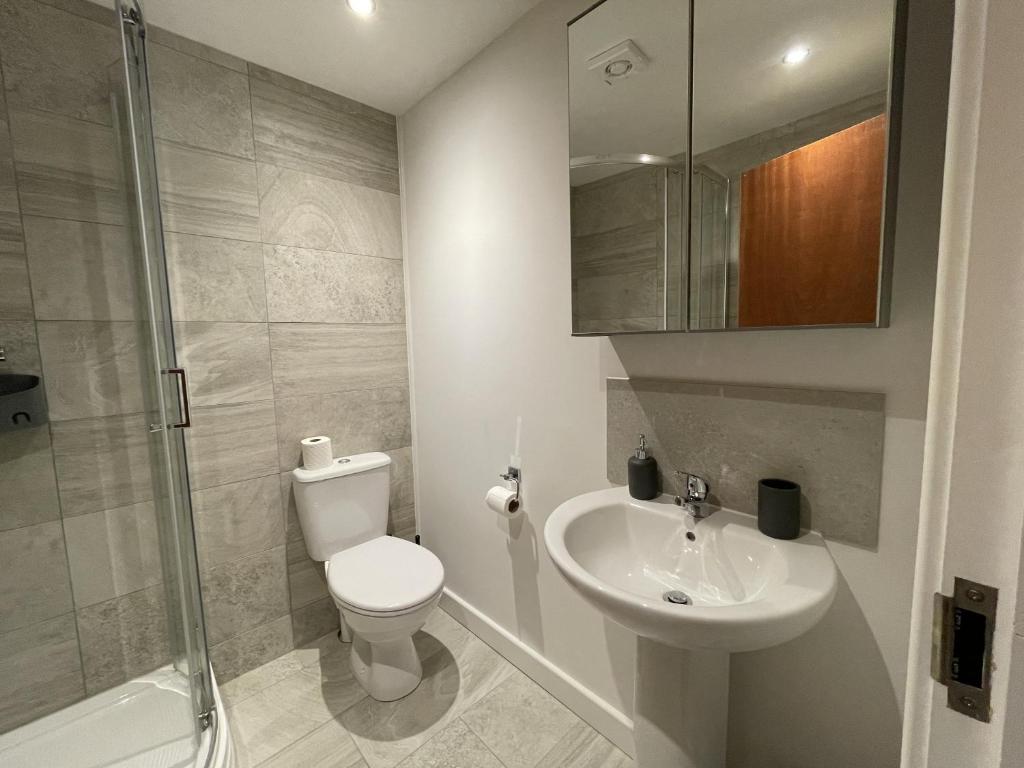 a bathroom with a toilet and a sink and a shower at NelsonStays Self-Contained Studios Stoke on Trent in Stoke on Trent