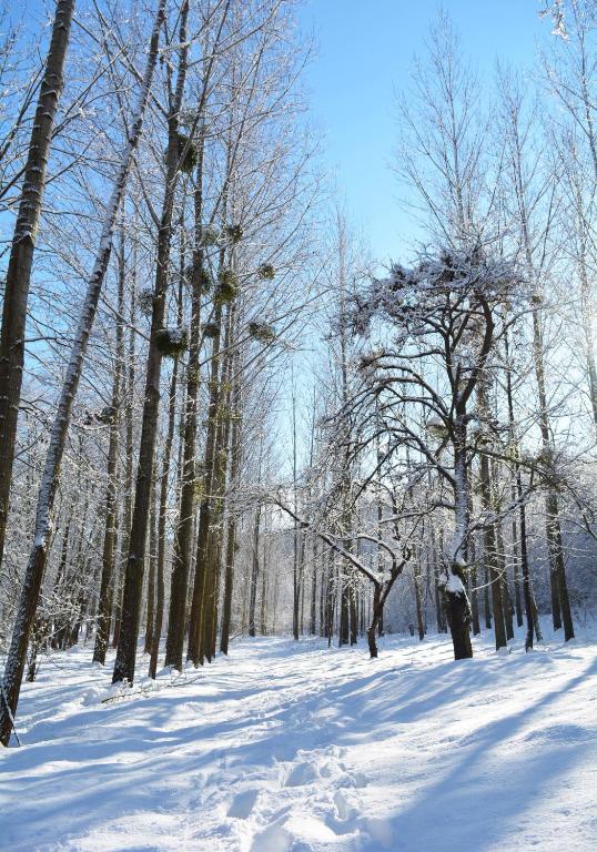 Jákó Ház during the winter
