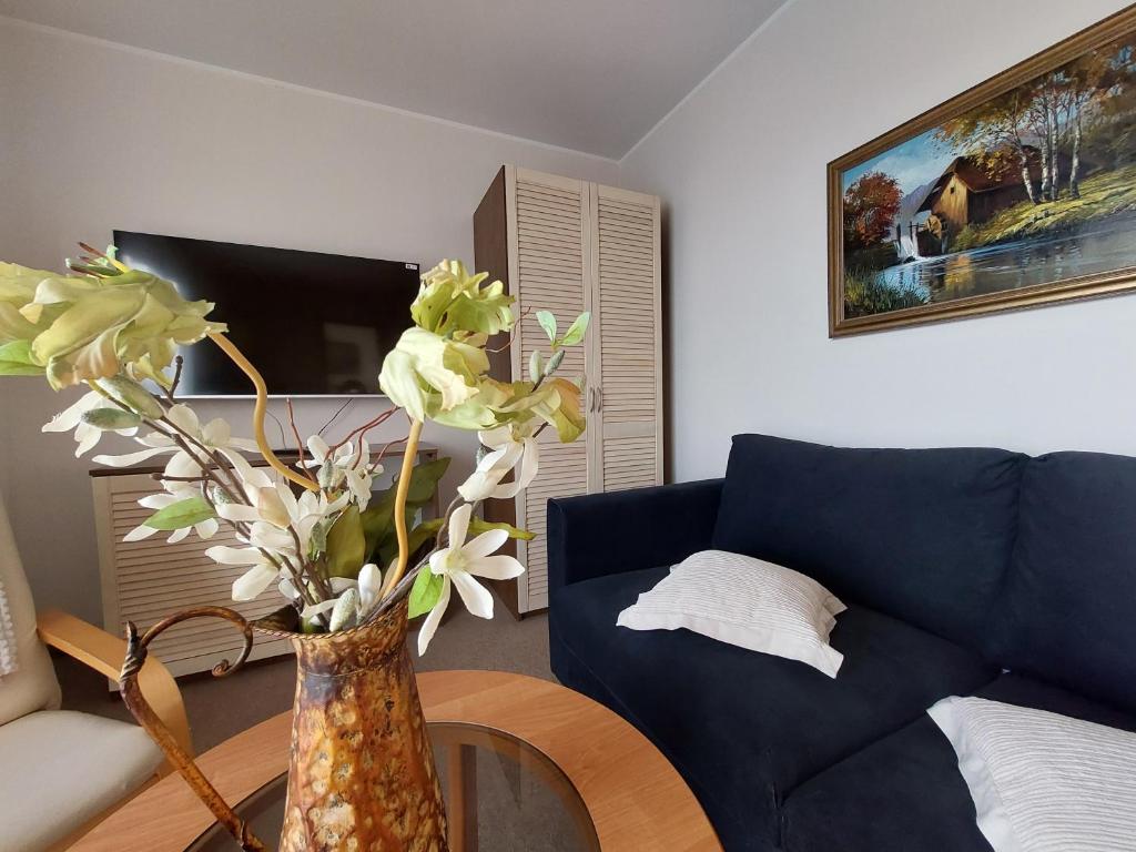 Apartamenty LeVilla - 一居室公寓，可欣赏海景