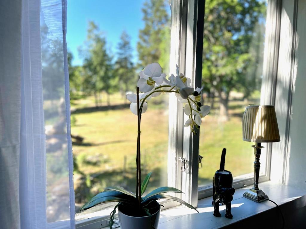 Fotografie z fotogalerie ubytování Lilla Hule - på landet nära sjö v destinaci Oskarshamn