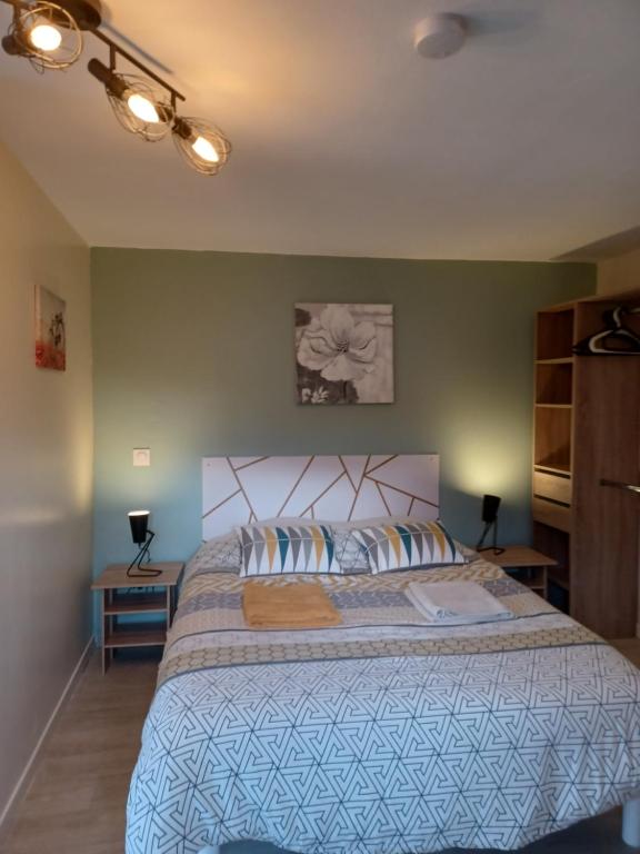 a bedroom with a large bed and a green wall at studio cosy indépendant au calme in Saint-Vallier