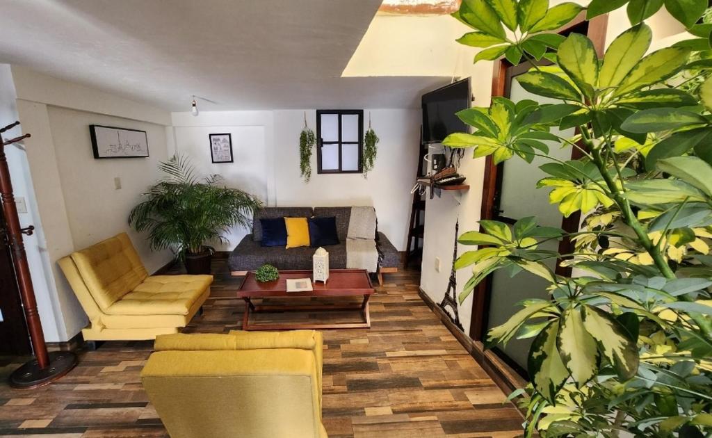 depa #5 recién remodelado en planta alta في زاكاتيكاس: غرفة معيشة بها أريكة وبعض النباتات