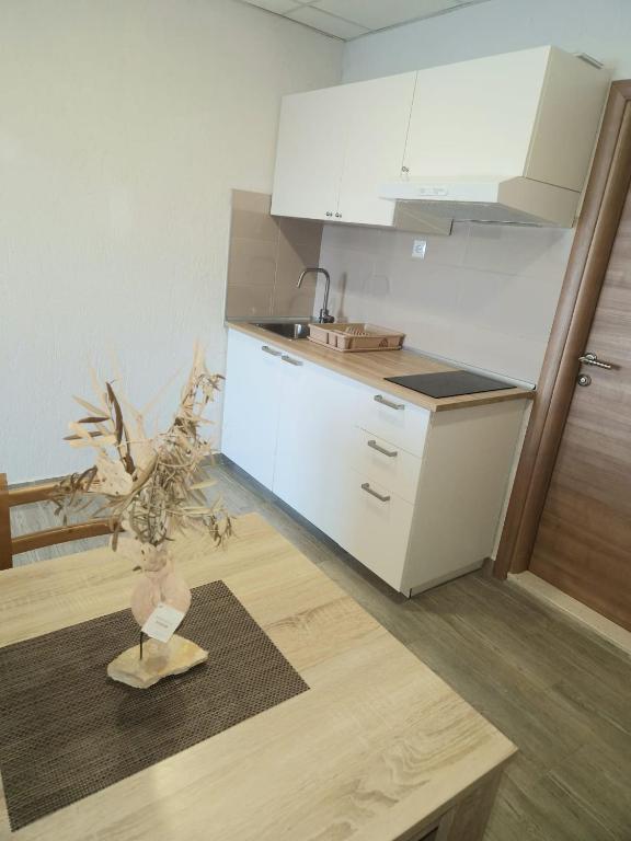 Kuchyň nebo kuchyňský kout v ubytování Apartments Ana