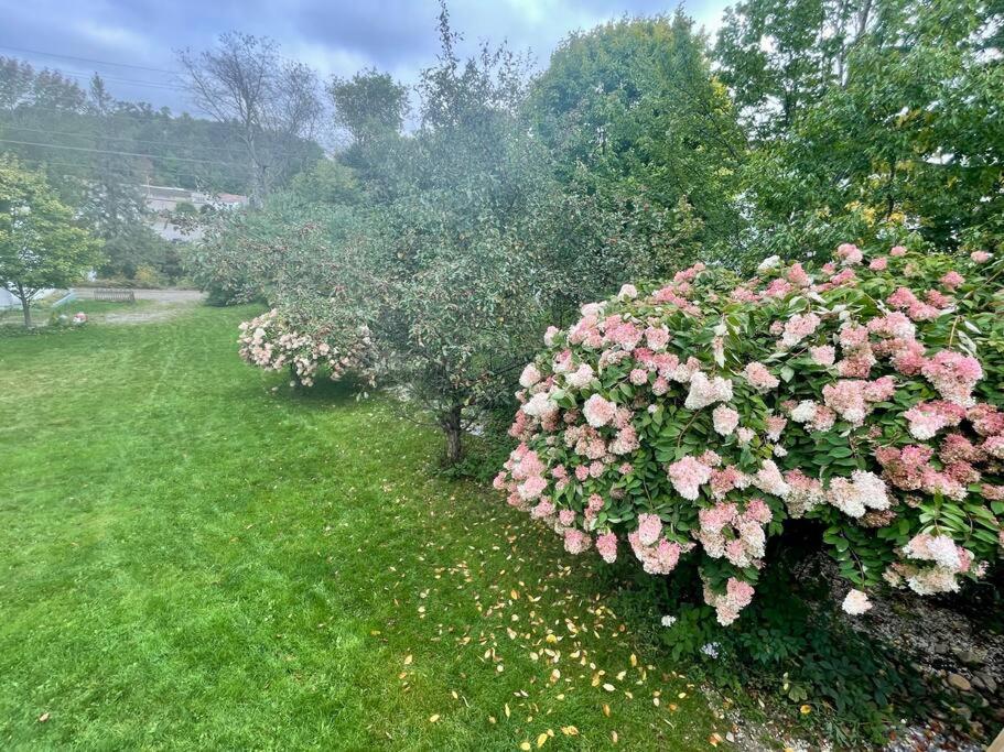 1 bedroom rental in Bancroft off ATV Trail, Bancroft (updated prices 2024)