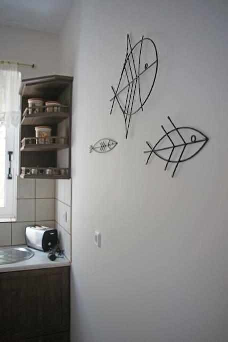 Kuchyň nebo kuchyňský kout v ubytování Fereniki's place