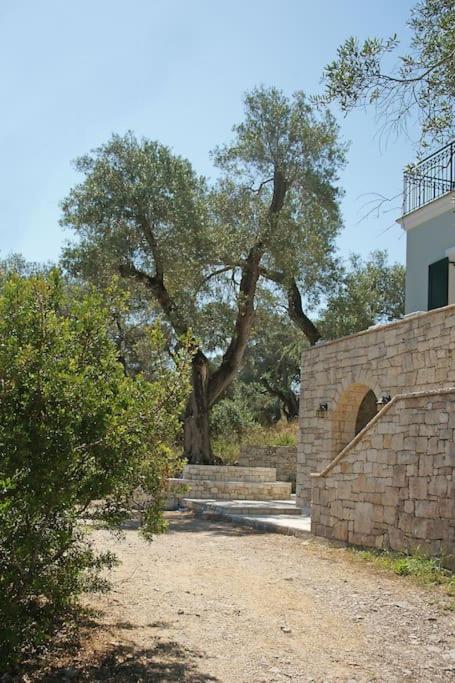 Fotografie z fotogalerie ubytování Fereniki's place v destinaci Gaios