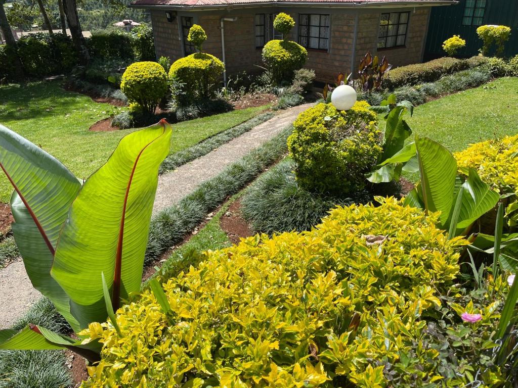 Aed väljaspool majutusasutust Zoe Homes 1br and 2br Cottage own compound -Kericho town near Green Square mall