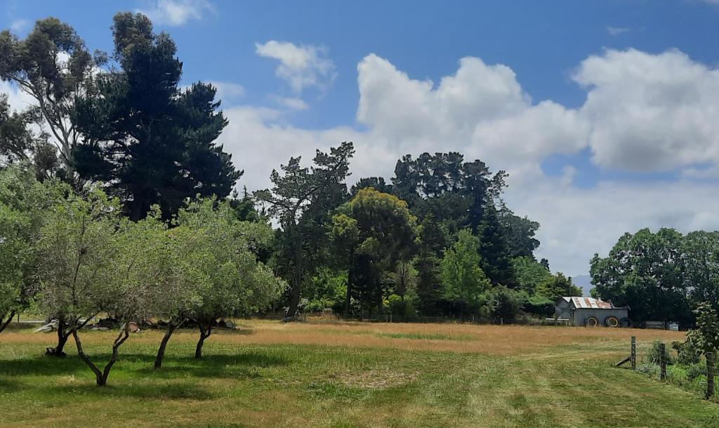 a field with trees and a trailer in the distance at The Morgans in Waiau