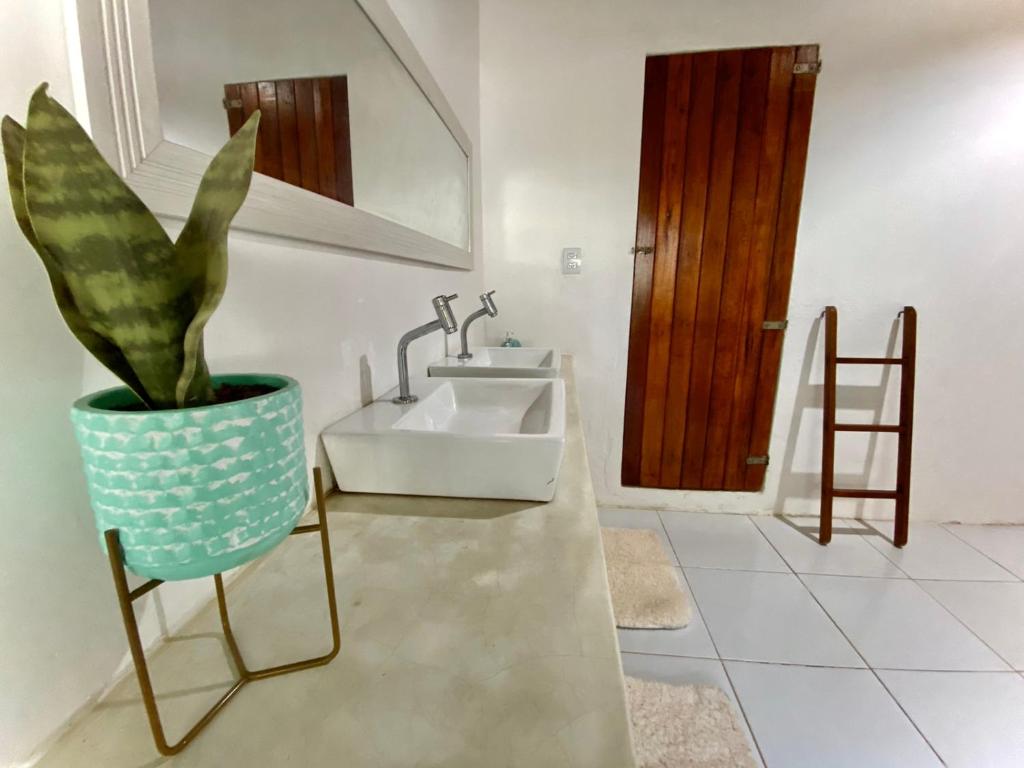 a bathroom with a sink and a potted plant at Abacate Casa do Mar in Pipa