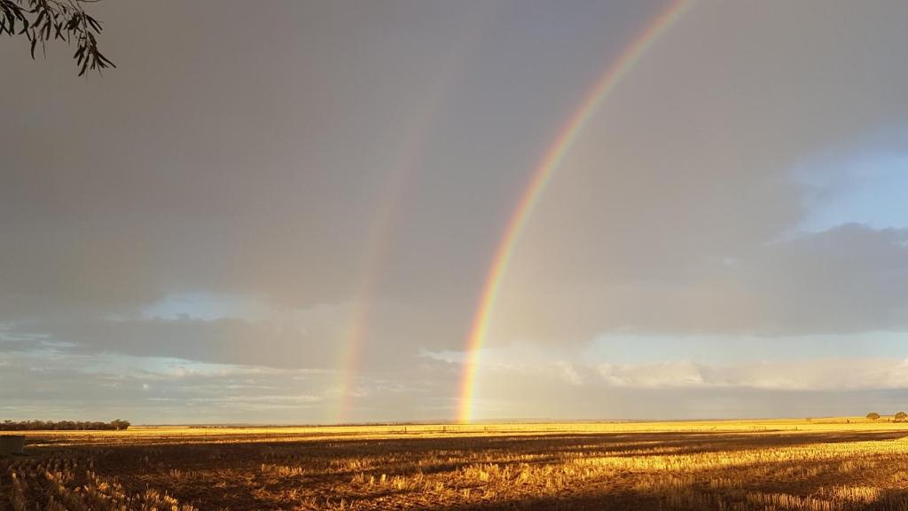 Holiday homes & houses for rent in Bruce Rock