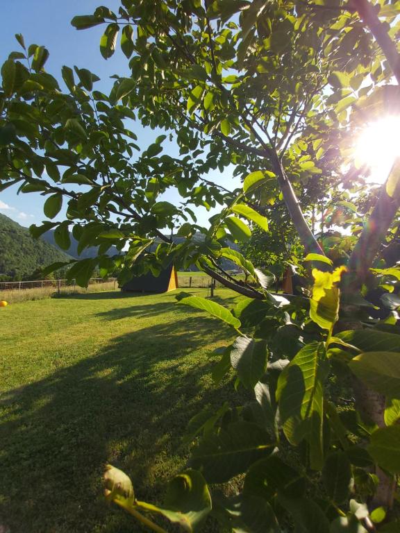 Zahrada ubytování GLAMPING HIŠKe PETRIN