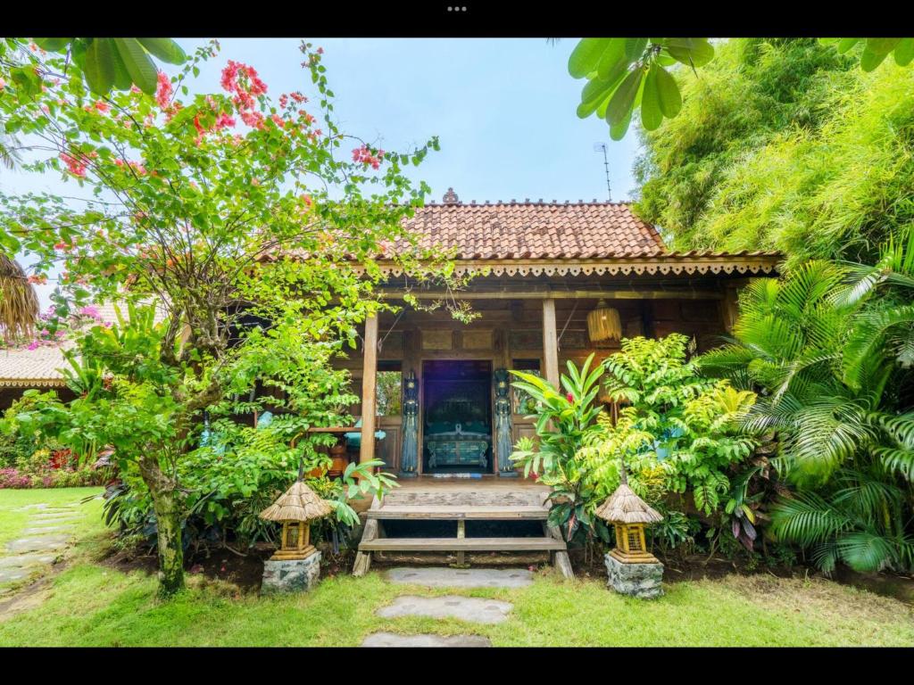 Zahrada ubytování Louka Beach Bali