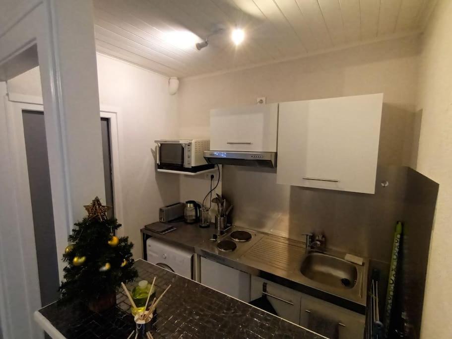 Kuchyňa alebo kuchynka v ubytovaní Appartement duplex avec garage Annecy centre et Lac