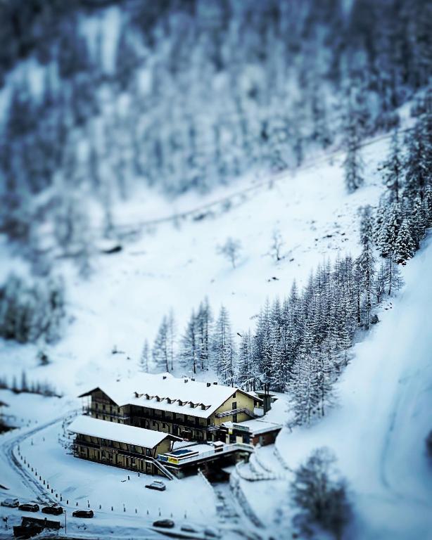 格雷索拉特里尼泰Chalet du Lys Hotel & SPA的雪覆盖的山中被雪覆盖的建筑