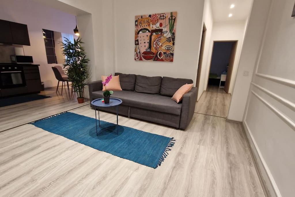 sala de estar con sofá y alfombra azul en Damjanich 51- Lovely 3bedroom apartment en Budapest