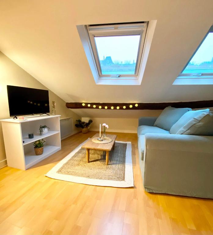 a living room with a couch and a tv at Charmant studio au coeur de Blois in Blois