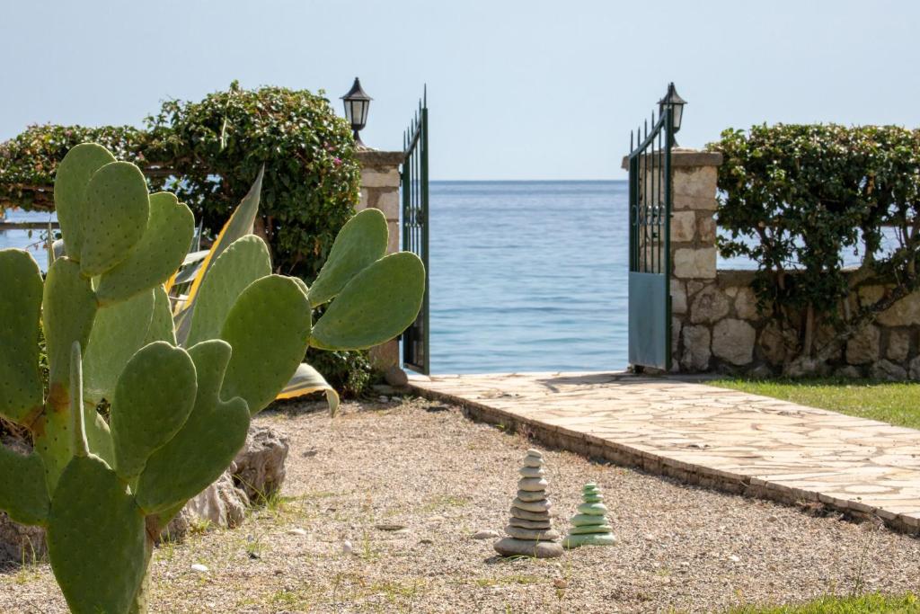 a cactus next to a pathway next to the water at Cote Jardin in Barbati