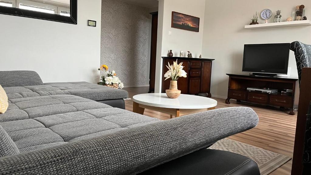- un salon avec un canapé et une télévision dans l'établissement Apartment Safarikova, à Trnava