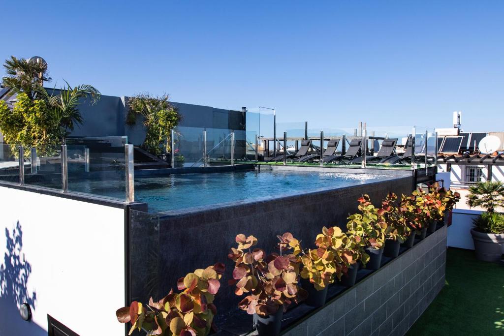 a swimming pool on the roof of a building with plants at Coccoloba Suites Corralejo in Corralejo