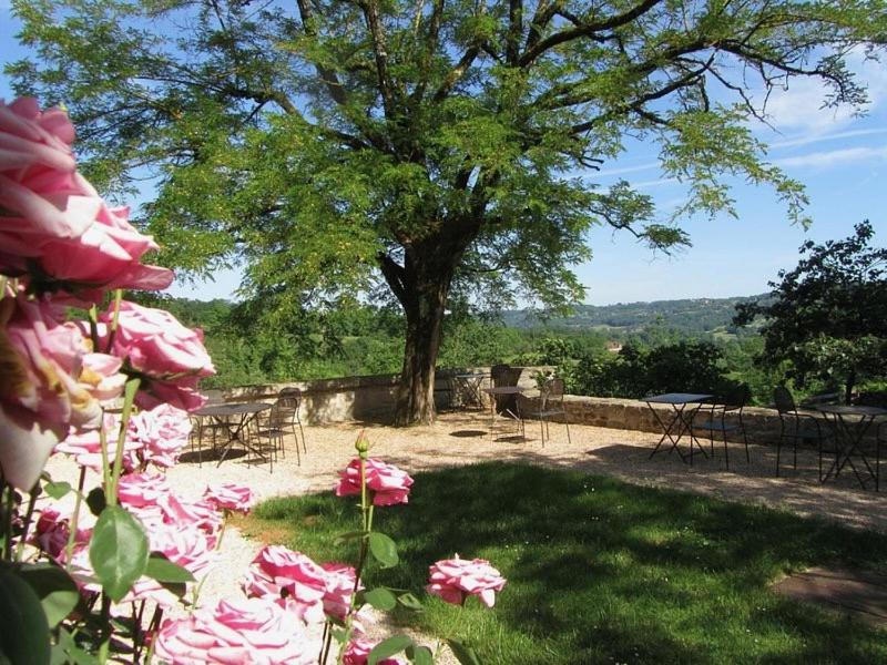 un jardin avec des fleurs roses et un arbre dans l'établissement MAS DEL LUM, à Boussac