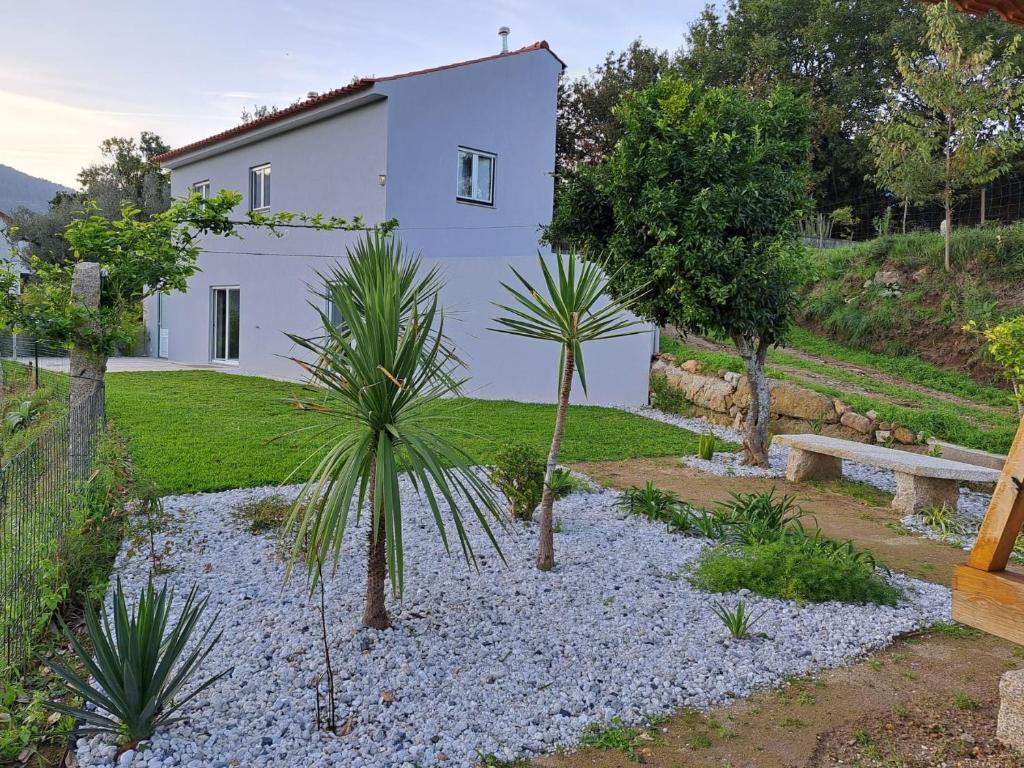 a house with a palm tree in front of it at Casa da Dina in Ponte de Lima