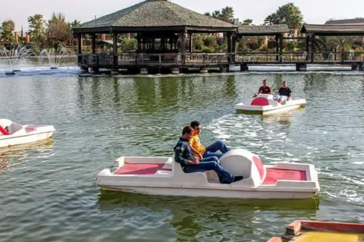 grupa ludzi jeżdżących łodzią wiosłową w jeziorze w obiekcie Solaimania Resort منتجع السليمانية w mieście Giza
