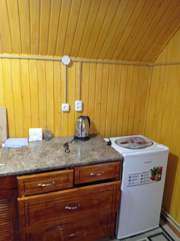 Kuchyň nebo kuchyňský kout v ubytování Romashka Guest House
