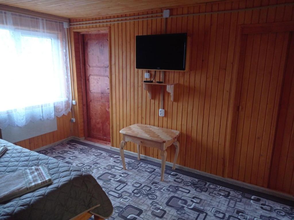 TV a/nebo společenská místnost v ubytování Romashka Guest House