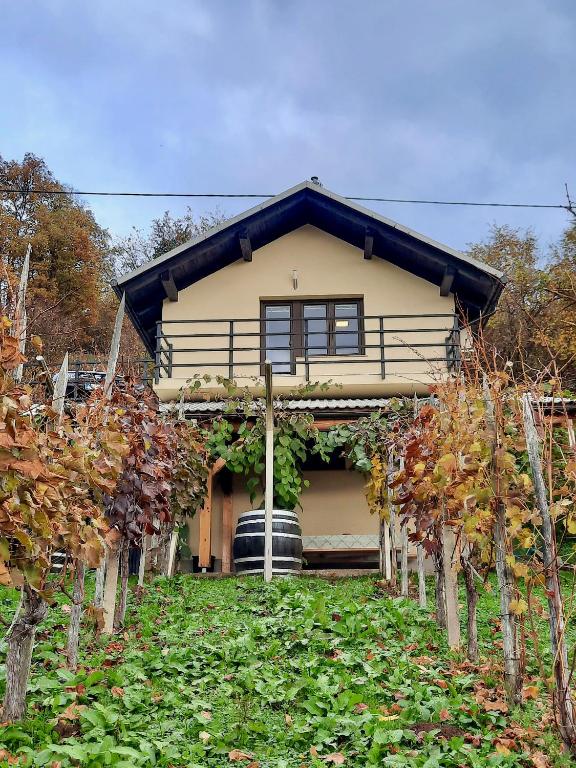 a house with a bunch of trees in front of it at Vineyard cottage Kulovec in Uršna Sela