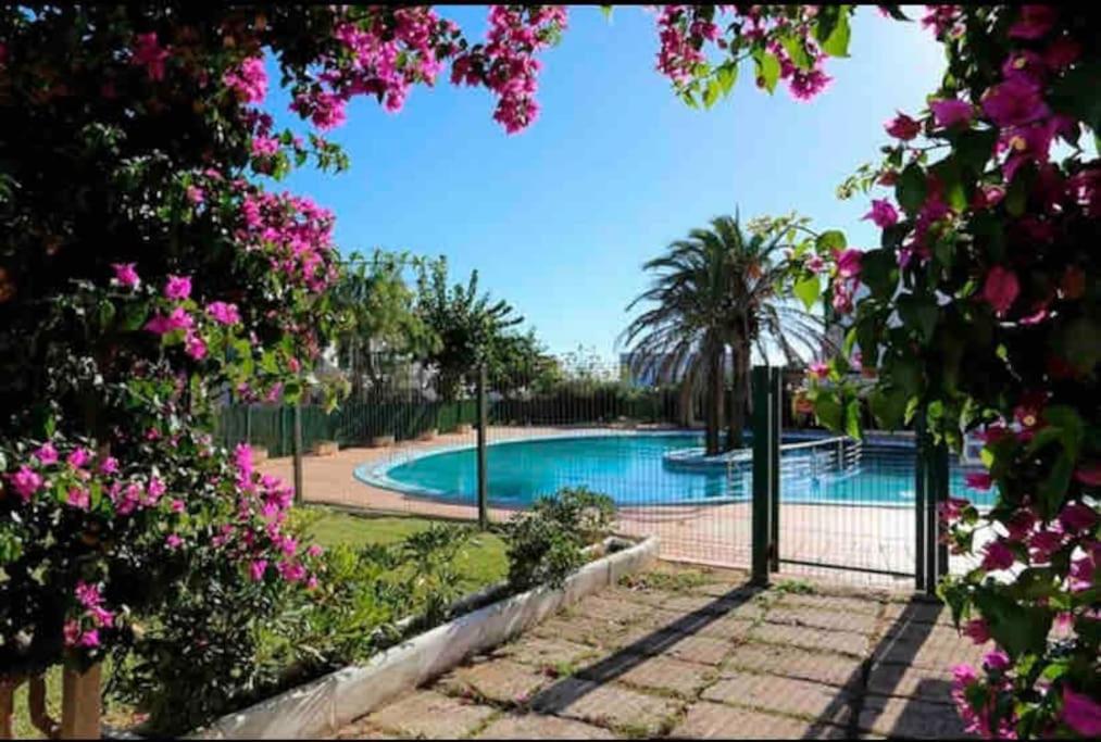 a swimming pool with pink flowers and a fence at sa caleta blava in Cala en Blanes