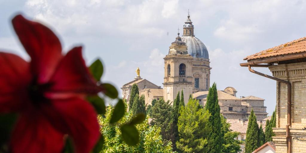 uma flor vermelha em frente a um edifício em Hotel Mom Assisi em Assis