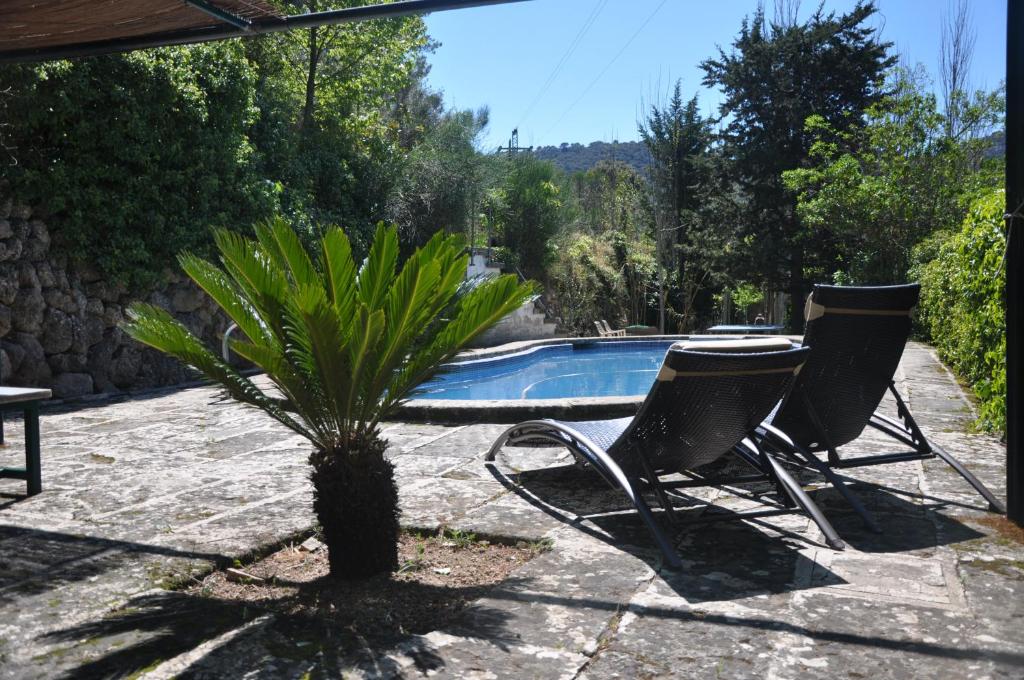 two chairs and a palm tree next to a swimming pool at Villa Sa Capsana in Valldemossa