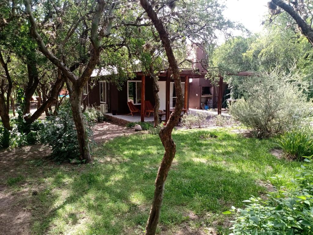 un árbol en el patio de una casa en los chañares de San Javier en San Javier