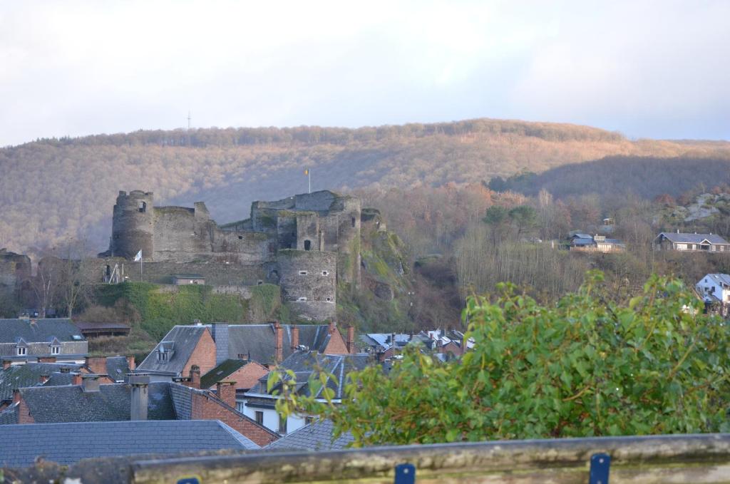 een stad met een oud kasteel op een heuvel bij Le Panorama in La-Roche-en-Ardenne
