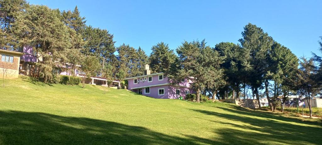 a purple house on top of a hill with trees at Hotel Bosques in Zacatlán