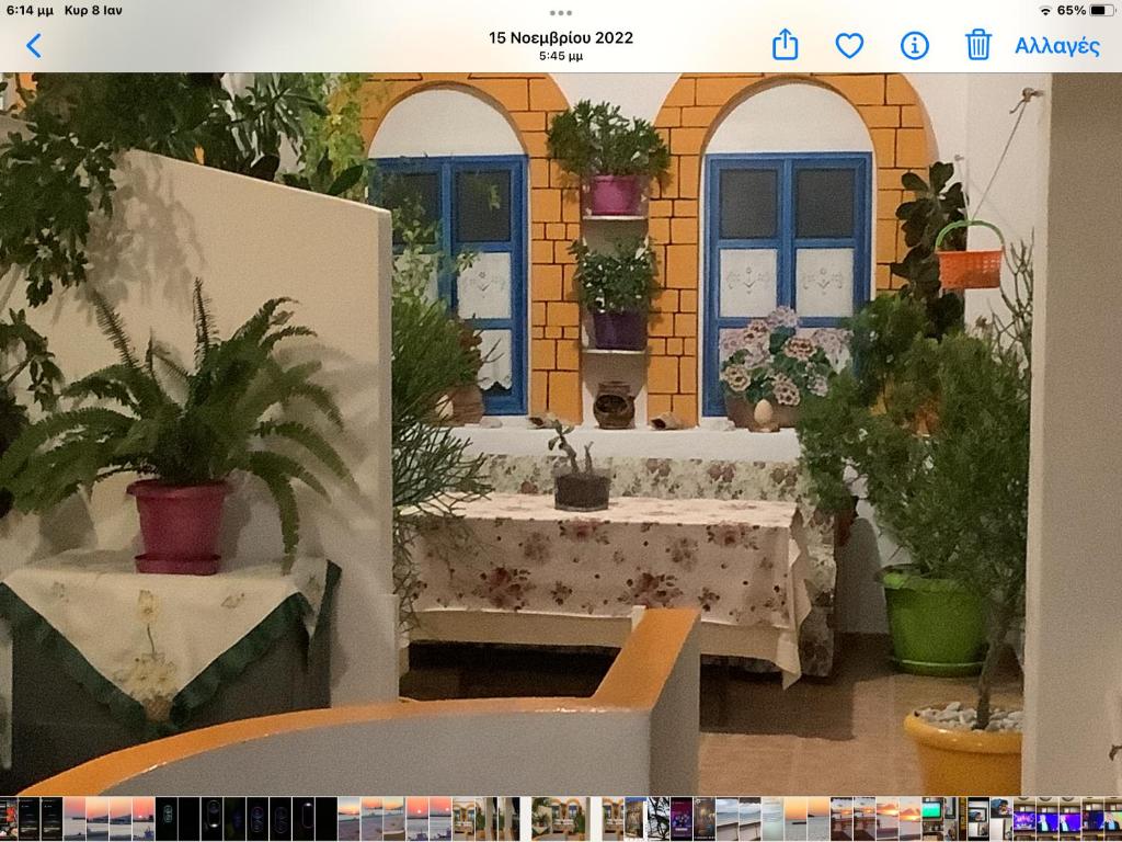 Fotografie z fotogalerie ubytování Studios Akrogialli v destinaci Leipsoi
