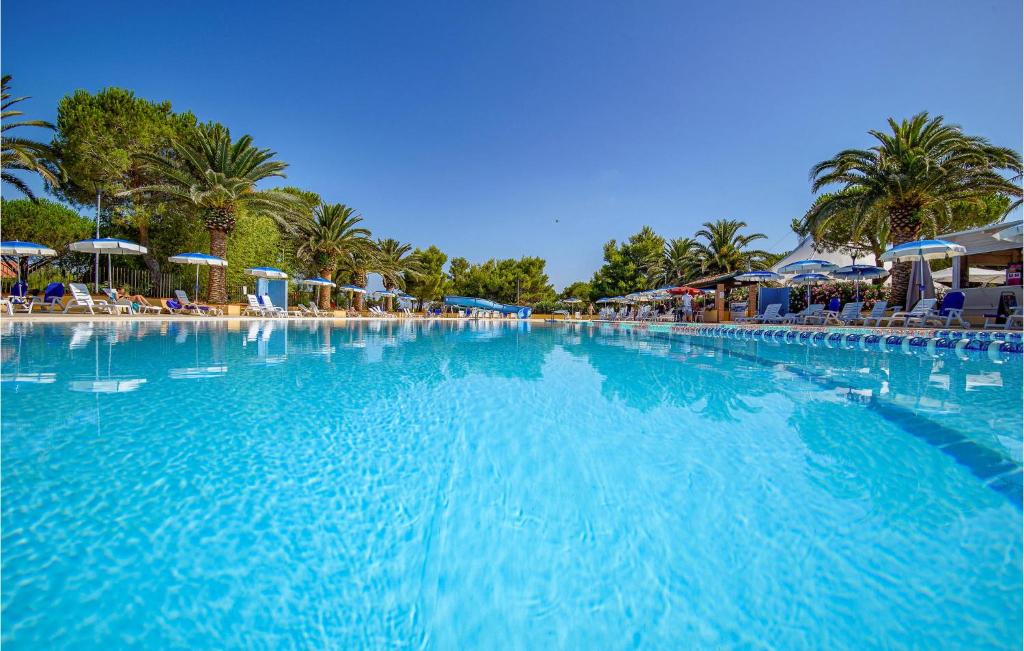 uma grande piscina de água azul com palmeiras e guarda-sóis em Bilo Plus Soppalco em Piombino