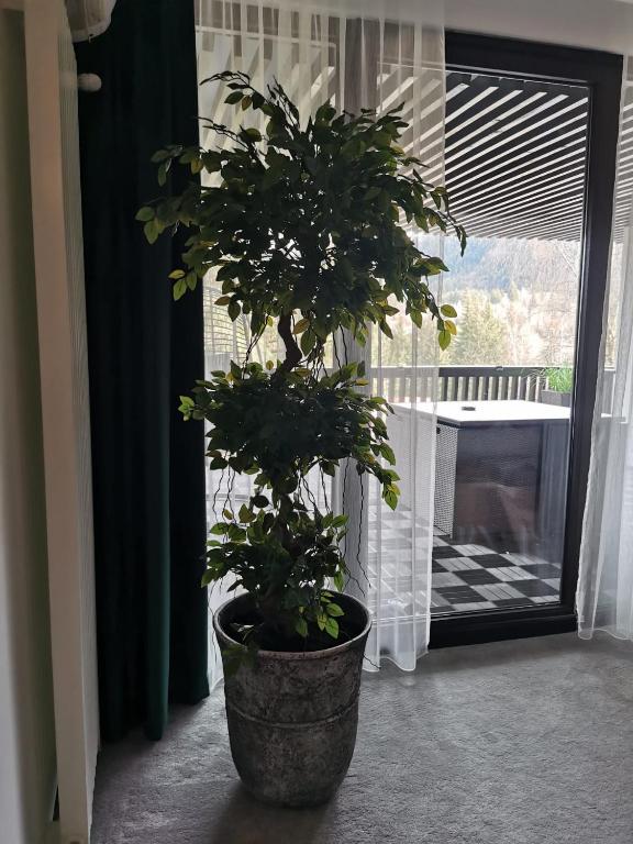 Alpin Aparthotel Ap 508 Poiana Brasov- acces la piscina gratuit - Resim 43