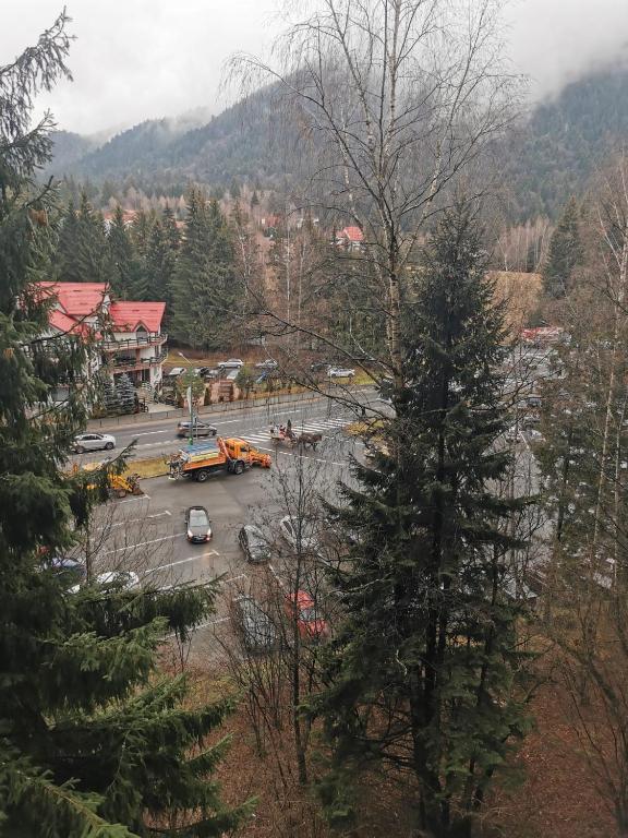 Alpin Aparthotel Ap 508 Poiana Brasov- acces la piscina gratuit - Resim 44