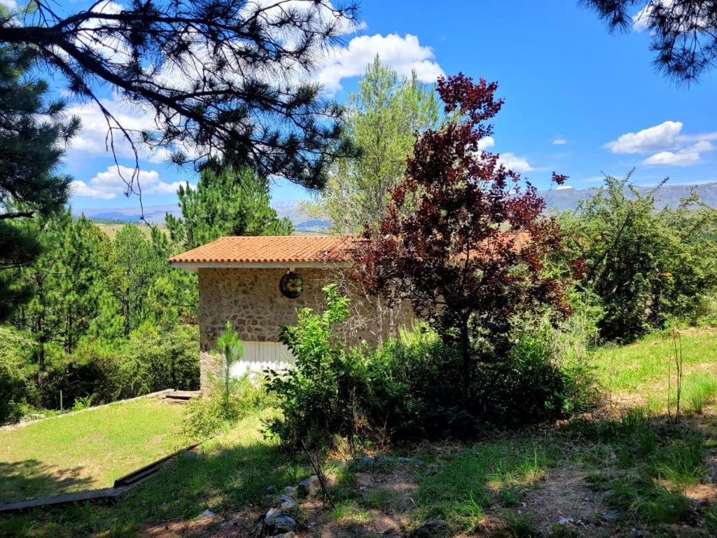 een klein stenen huis in het midden van een veld bij Loft on Los Reartes River, Intiyaco in Villa Berna