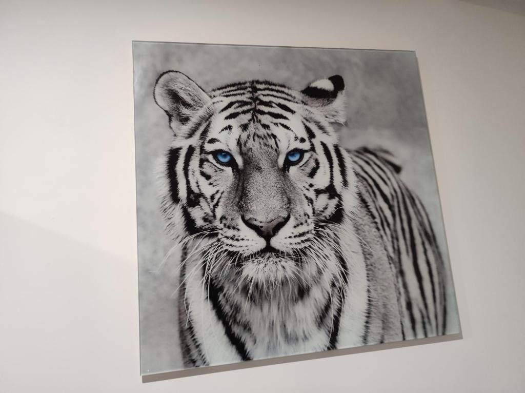 une peinture d'un tigre aux yeux bleus dans l'établissement Eye of the Tiger. Apartament w centrum Mrągowa., à Mrągowo